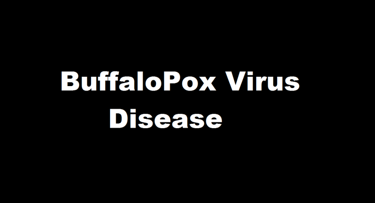 BuffaloPox Virus Disease By Veterinarydiscussions