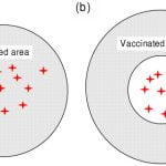 Ring Vaccination for Foot and Mouth Disease