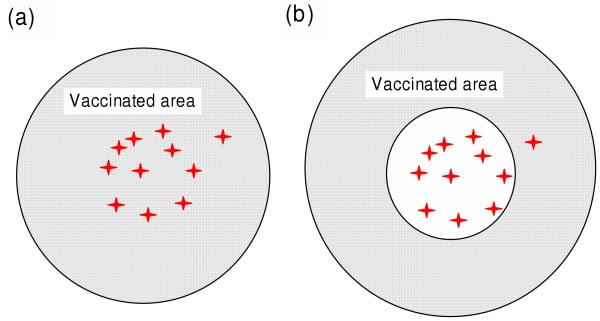 Ring Vaccination for Foot and Mouth Disease