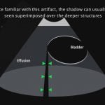 Atlas Of Small Animal Ultrasonography 2nd Edition (Videos Screenshot) 01