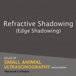 Atlas Of Small Animal Ultrasonography 2nd Edition (Videos Screenshot)