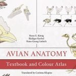 Avian Anatomy Textbook And Colour Atlas 2nd Edition Www.veterinarydiscussions.net