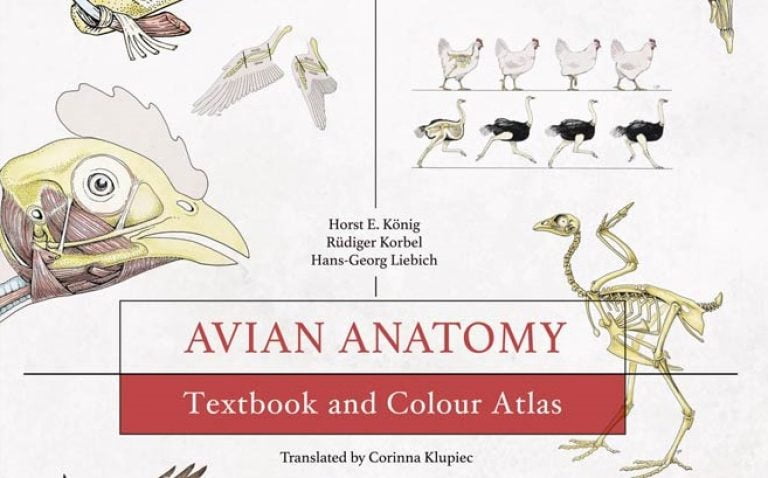 Avian Anatomy Textbook And Colour Atlas 2nd Edition Www.veterinarydiscussions.net