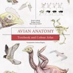 Avian Anatomy Textbook And Colour Atlas 2nd Edition Www.veterinarydiscussions.net