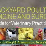 Backyard Poultry Medicine And Surgery A Guide For Veterinary Practitioners