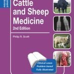 Cattle And Sheep Medicine 2nd Edition Pdf Self Assessment Color Review