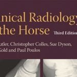 Clinical Radiology Of The Horse 3rd Edition Pdf Free
