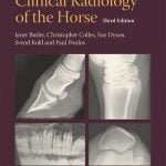 Clinical Radiology Of The Horse 3rd Edition Pdf Free