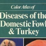 Color Atlas Of Diseases Of The Domestic Fowl And Turkey PDF