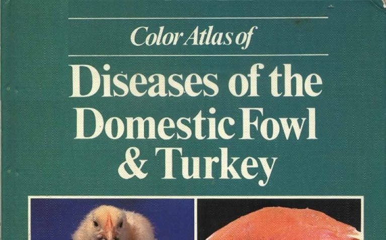 Color Atlas Of Diseases Of The Domestic Fowl And Turkey PDF