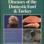 Color Atlas Of Diseases Of The Domestic Fowl And Turkey PDF