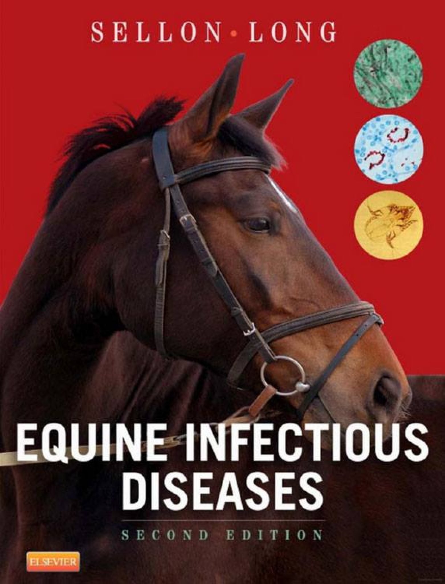 Equine Infectious Diseases 2nd Edition PDF Download PDFLibrary