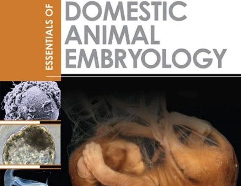 Essentials Of Domestic Animal Embryology 1st Edition PDF