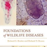 Foundations Of Wildlife Diseases