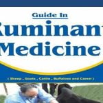 Guide In Ruminant Medicine 2nd Edition PDF