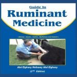 Guide In Ruminant Medicine 2nd Edition PDF