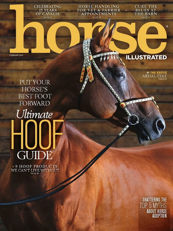Horse Illustrated Magazine February 2018 PDF