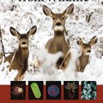 Human Diseases From Wildlife Pdf By Michael R. Conover, Rosanna M. Vail