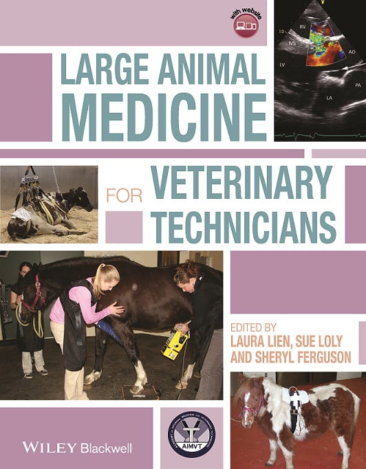 Large Animal Medicine For Veterinary Technicians 1st Edition Pdf