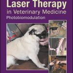 Laser Therapy In Veterinary Medicine Photobiomodulation 1st Edition PDF