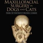 Oral And Maxillofacial Surgery Of Dog And Cat PDF