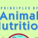 Principles Of Animal Nutrition 2018 PDF