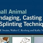 Small Animal Bandaging, Casting And Splinting Techniques Pdf Download