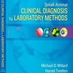 Small Animal Clinical Diagnosis By Laboratory Methods 5th Edition PDF