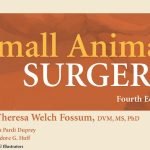 Small Animal Surgery 4th Edition By Theresa Welch Fossum Pdf 2