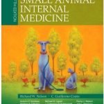 Small Animal Internal Medicine 5th Edition Pdf Free Download