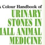 Urinary Stones In Small Animal Medicine A Colour Handbook