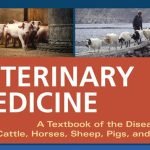 Veterinary Medicin 11th Edition PDF Download Page 0001