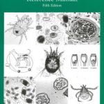 William J. Foreyt Veterinary Parasitology Reference Manual Wiley Blackwell 5th Edition Pdf