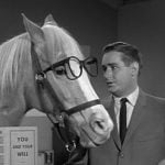 Mr. Ed