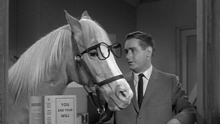 Mr. Ed