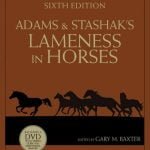 Adams And Stashak’s Lameness In Horses 6th Edition PDF