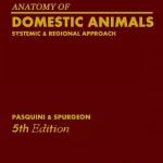 Anatomy Of Domestic Animals Systemic Regional Approach PDF