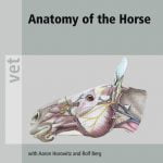 Anatomy Of The Horse PDF