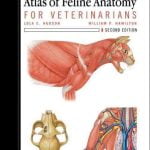 Atlas Of Feline Anatomy For Veterinarians 2nd Edition PDF