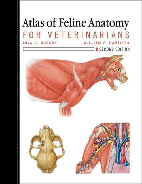 Atlas Of Feline Anatomy For Veterinarians 2nd Edition PDF
