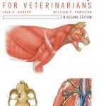 Atlas Of Feline Anatomy For Veterinarians 2nd Edition.jpg