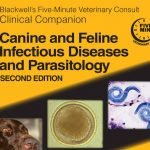 Blackwells Five Minutes Canine Feline Infectious Disease And Parasitology 2nd Edition PDF