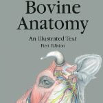 Bovine Anatomy An Illustrated Text First Edition PDF