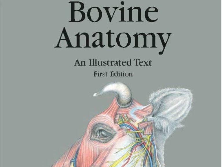 Bovine Anatomy An Illustrated Text First Edition PDF