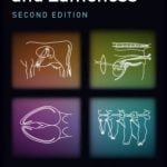 Bovine Surgery And Lameness 2nd Edition PDF