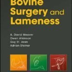Bovine Surgery And Lameness 3rd Edition PDF