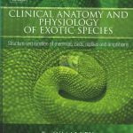 Clinical Anatomy And Physiology Of Exotic Species 1st Edition PDF