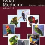 Clinical Avian Medicine 1 And 2 Volume PDF 1