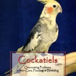 Cockatiels Overcoming Problems In Their Care, Feeding And Breeding PDF