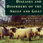 Color Atlas Of Diseases And Disorders Of The Sheep And Goat Pdf